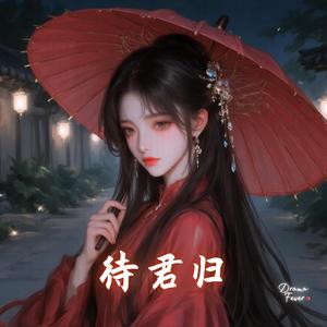 待君归