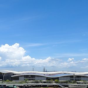 玫瑰心动的至上法则