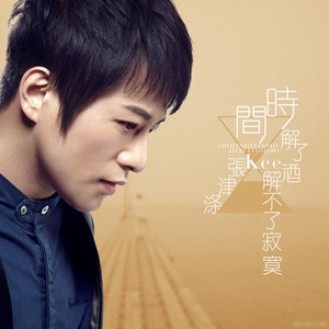 时间解了酒解不了寂寞 (伴奏)