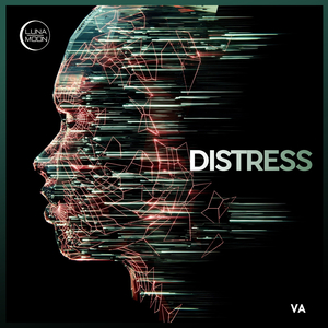 Digeris