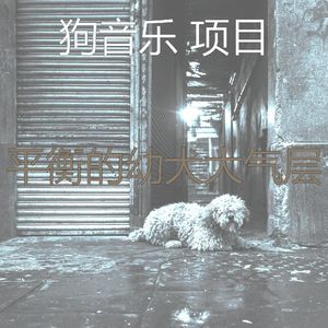 一尘不染可爱的狗印象数