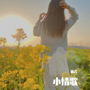 小情歌