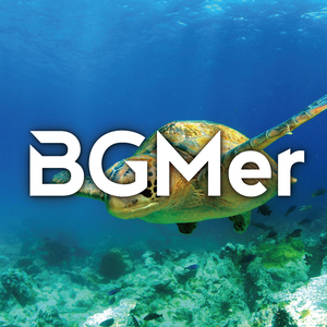 海亀のさんぽみち