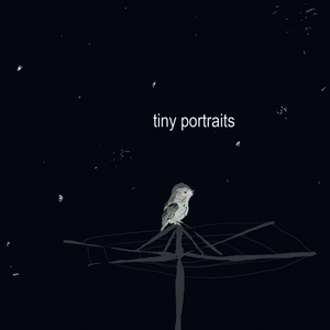 The sedge behind the old Burrill Lake post office