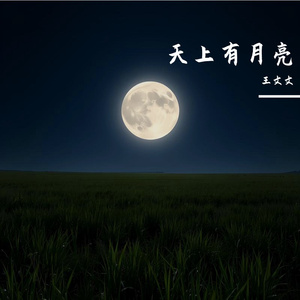 天上有月亮