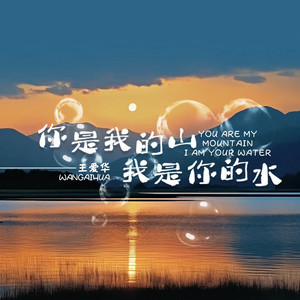 你是我的山我是你的水 (DJ默涵版)
