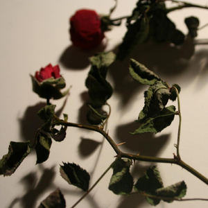 Out of Time(Temporary Insanity, a Piece in E Flat Minor)