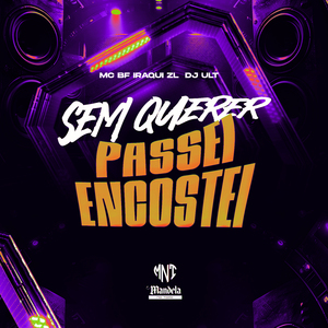 Sem Querer Passei Encostei