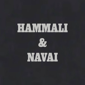 HAMMALI & NAVAI
