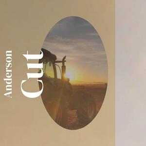 Purchase Perambulator