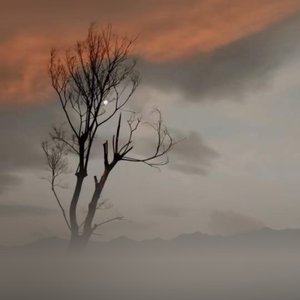 消失在你的世界