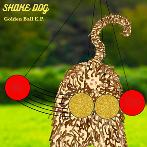 ゴールデンネコ