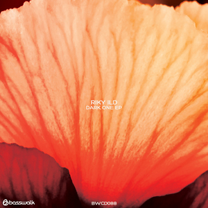 We Stay In A-Jungle (Original Mix)