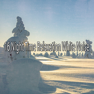 用聲音喚醒您的感官