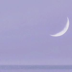 人间这一遭（DJ海哥版）