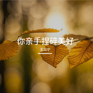 你亲手捏碎美好