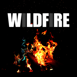 WLDFRE