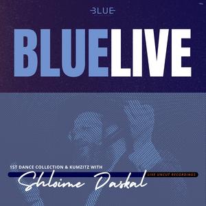 Ahalelu (feat. Shloime Daskal) (Live)