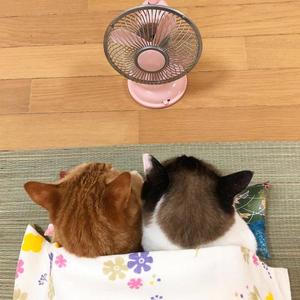 我们都是好孩子（男声版）