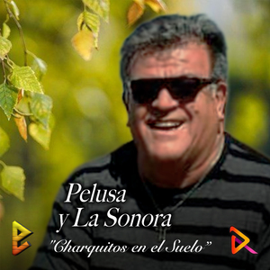 Charquitos en el Suelo