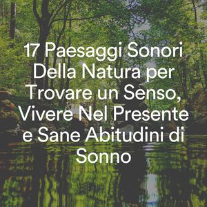 Musica rilassante per meditazioni oceaniche, pt. 11