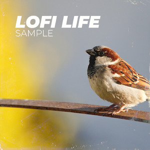 LOFI LIFE