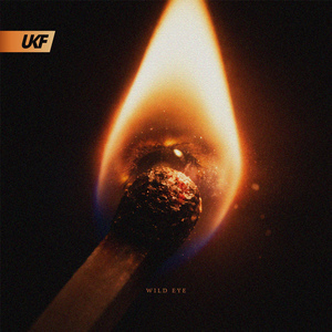 WILD EYE