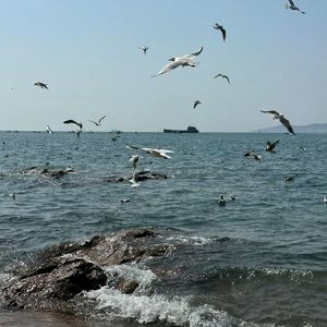 浪滔
