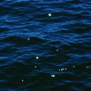 我那幼稚的理想主义