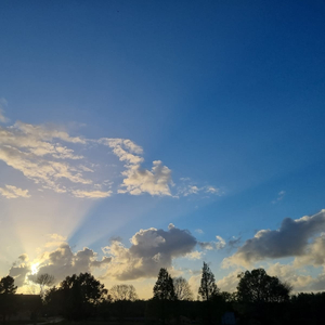 Walking in your Shadow