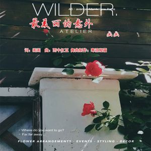 中四-- 最美丽的意外 （画画）-- 舞曲 寒流凝霜