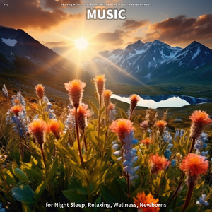 Relaxing Music for Learning