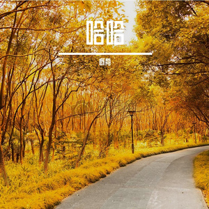 过期酸奶的文明遗迹