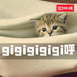 GiGiGiGi呼 (3D环绕)