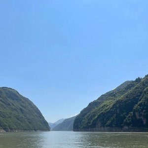 桃花树下定终身（翻自 王妃）