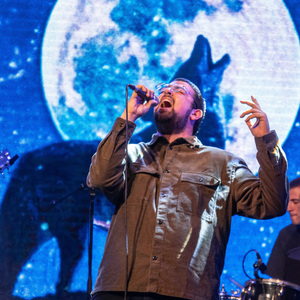 לפגוש את הזאב (לייב)