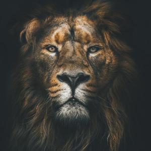 I am back（Prod By.Furyl）