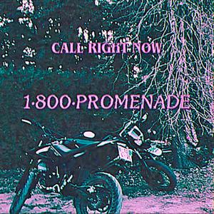 1.800.PROMENADE (DRIFT PHONK)