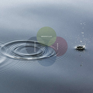 Ripples