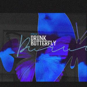 崔伟立-酒醉的蝴蝶（KNam remix）