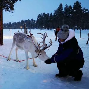爱-信晓丹（翻自 莫文蔚）