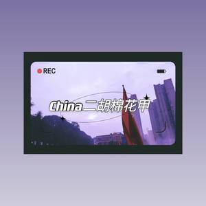 China二胡棉花甲