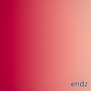 endz