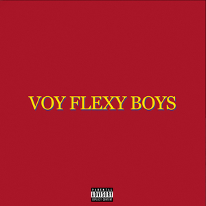 Voy Flexy Boys