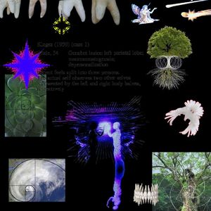 0459 "Pssss.........."