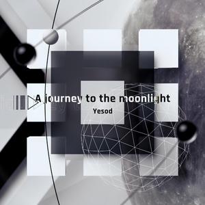 A journey to the moonlight