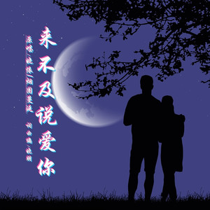 来不及说爱你DJ (对唱版)