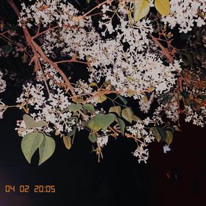 开心往前飞（开心超人主题曲）