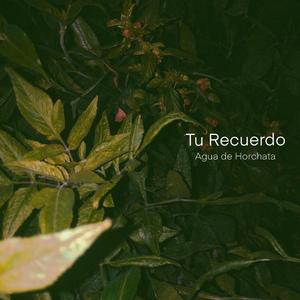 Tu Recuerdo