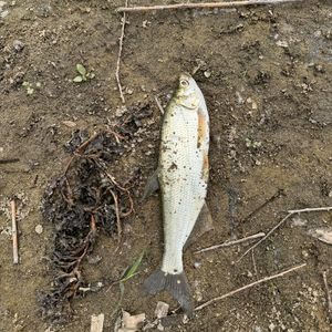 渔获prod.tired x e.pine